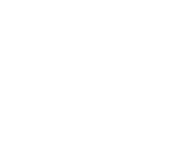 digitales MV